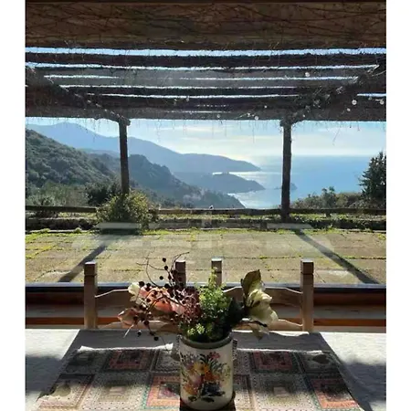 Il Riccio - Rosa *