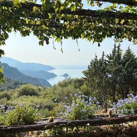 Il Riccio - Rosa Panzió Isola Rossa (Monte Argentario)