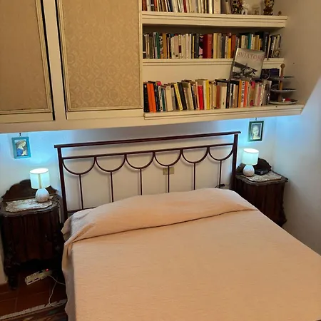 Il Riccio - Rosa